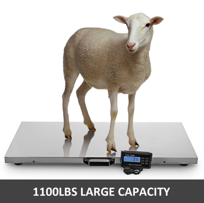 EL005 500 kg Stainless Steel Platform Scale for Parcel and Animal Weighing - product detail view